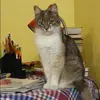 Отзыв от Вероника Корнеева